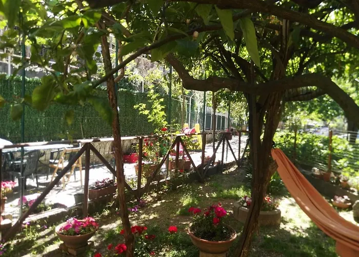 Il Gelso
