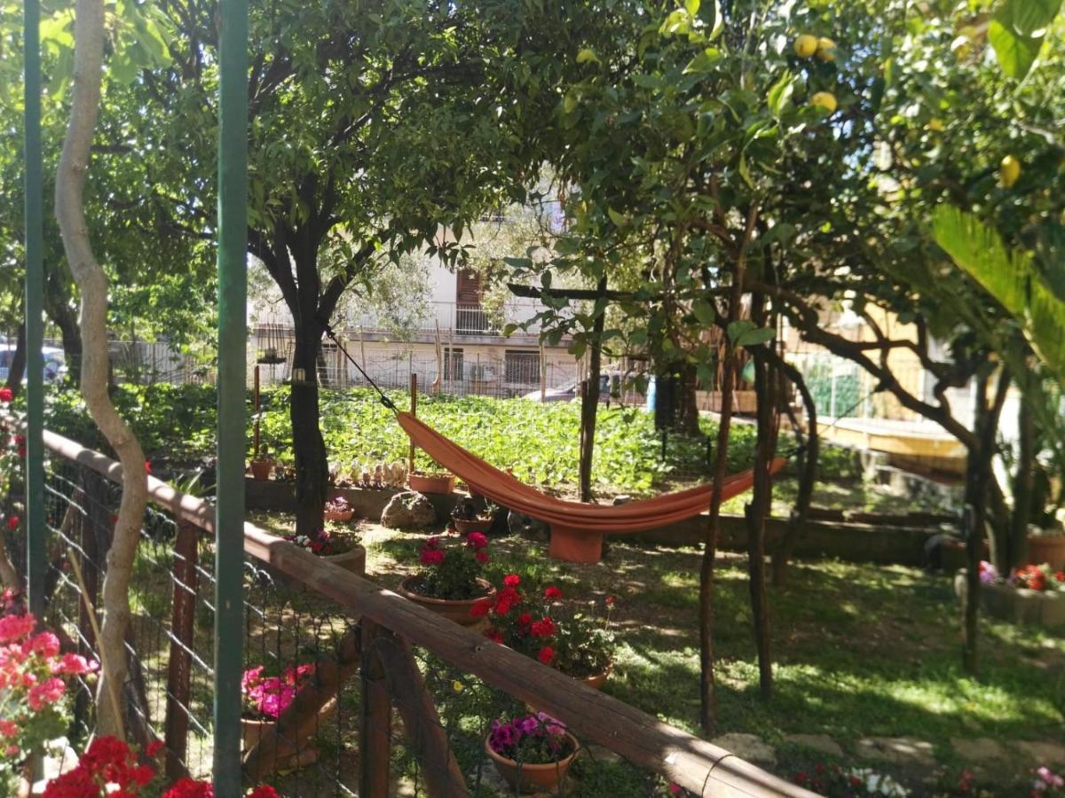 Apartment Il Gelso *